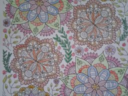 whatsapp image 2026-01-10 at 12.05.53